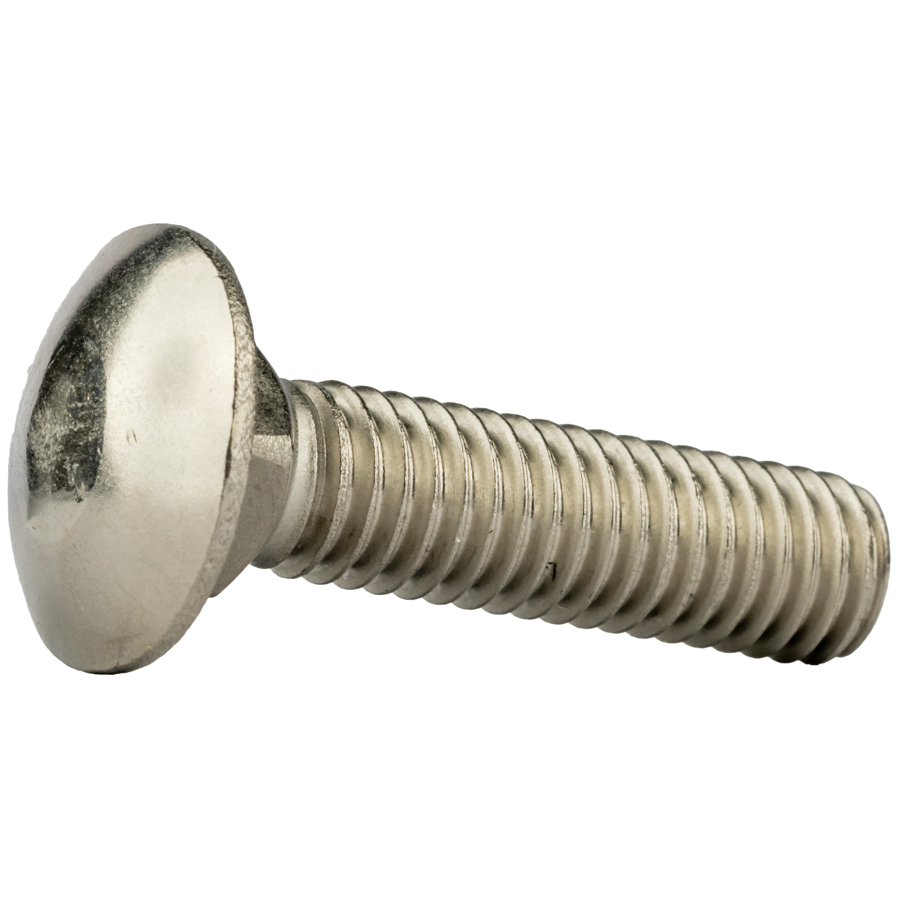 18/8 Carriage Bolts